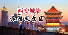 黑丝大胸美女被操动漫中国陕西-西安城墙旅游风景区